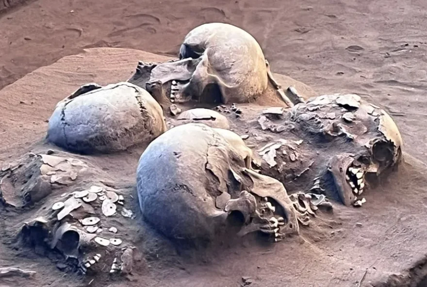 Crânios foram encontrados por pesquisadores em sítio. (Foto: Reprodução/G1)