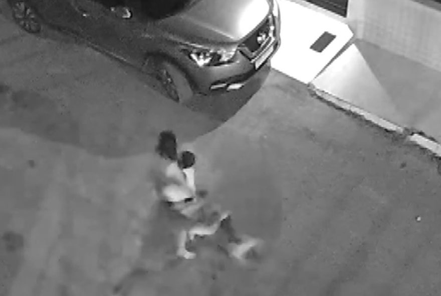 crianca-com-autismo-e-atacada-por-pitbull-na-bahia3A-mae-registra-queixa