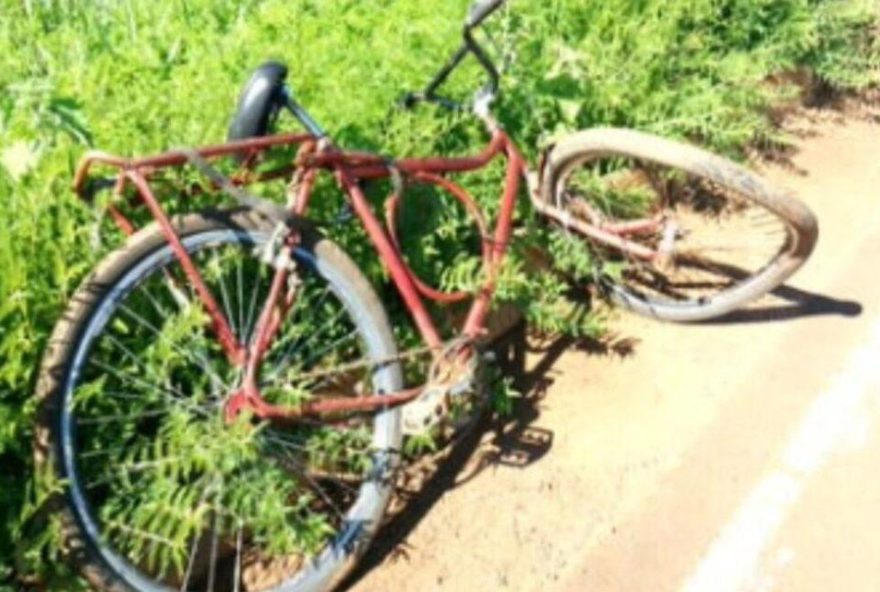 A criança estava andando na rodovia com uma bicicleta quando foi atropelada por um carro. Ele não resistiu e morreu no local