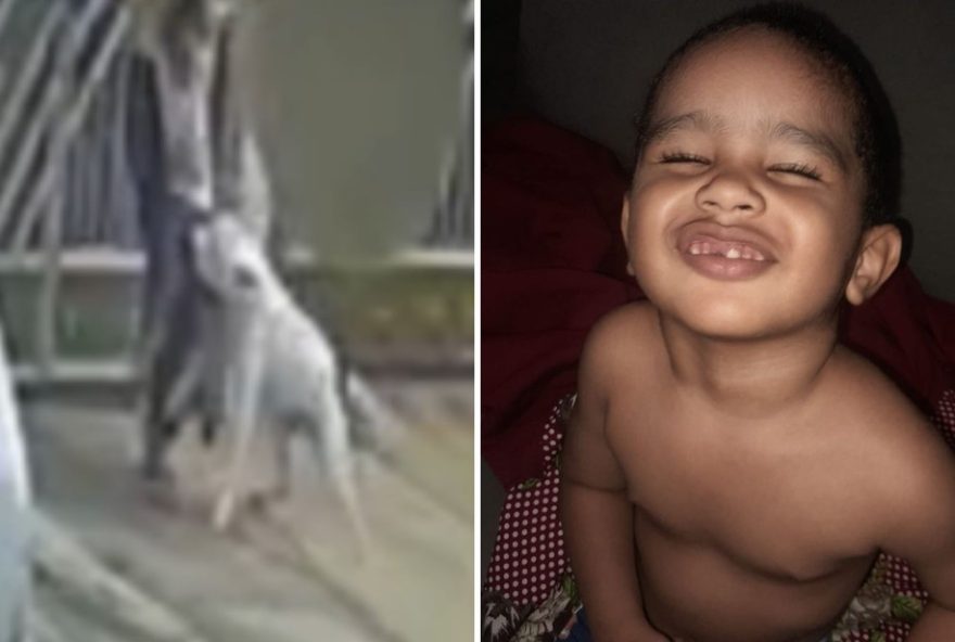 crianca-de-dois-anos-e-atacada-por-pit-bull-na-frente-da-casa-da-avo-em-goiania3A-video-mostra-o-ocorrido crianca-de-dois-anos-e-atacada-por-pit-bull-na-frente-da-casa-da-avo-em-goiania3A-video-mostra-o-ocorrido
