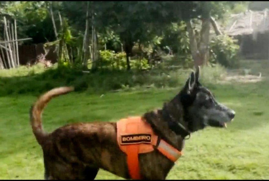 criancas-desaparecidas-no-maranhao3A-buscas-se-concentram-na-margem-oposta-do-rio-mearim criancas-desaparecidas-no-maranhao3A-buscas-se-concentram-na-margem-oposta-do-rio-mearim