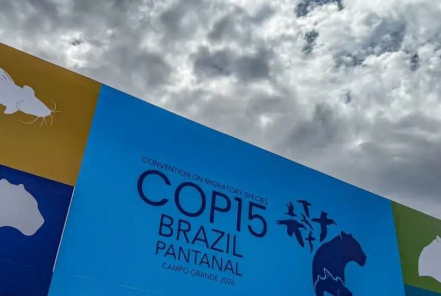 cupula-de-lideres-orienta-debates-para-cop15-em-campo-grande cupula-de-lideres-orienta-debates-para-cop15-em-campo-grande