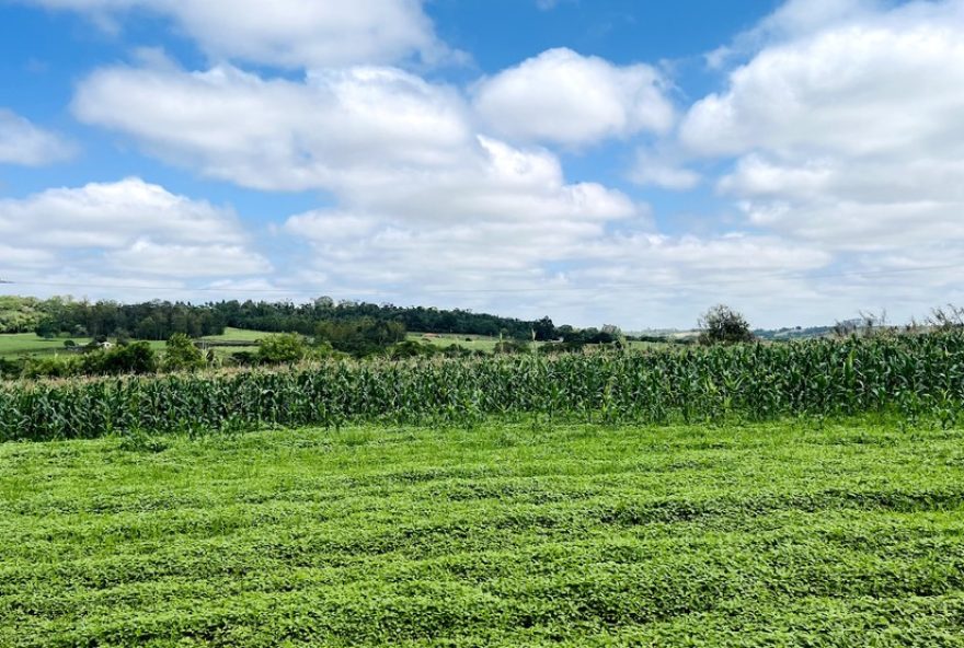 curso-gratuito-de-tecnologia-em-gestao-do-agronegocio-em-itapetininga-inscricoes-abertas curso-gratuito-de-tecnologia-em-gestao-do-agronegocio-em-itapetininga-inscricoes-abertas