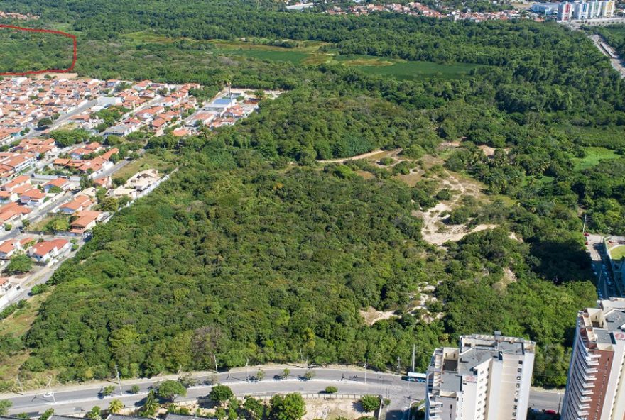 de-abre-vagas-remuneradas-para-o-programa-agente-jovem-ambiental-no-coco3A-inscricoes-abertas