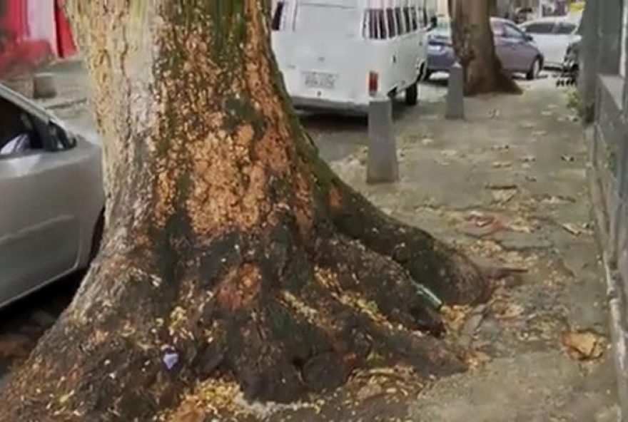 de-do-rio-recebeu-quase-32-mil-denuncias-sobre-calcadas-em-2-anos3A-bairros-mais-afetados-em-2025