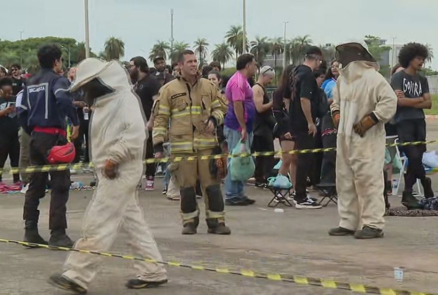 de-em-brasilia3A-bombeiros-isolam-area-de-fila-apos-ataque-de-abelhas-no-show