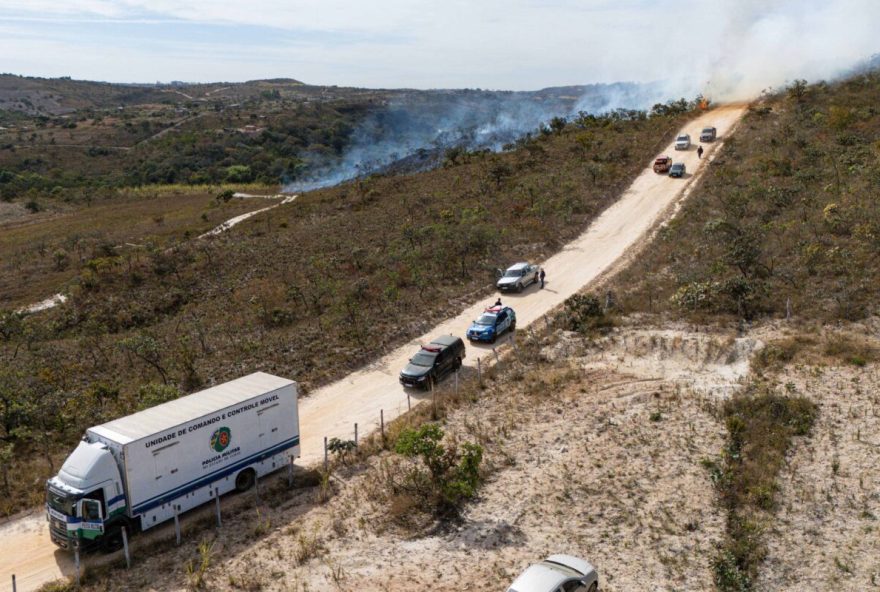 decisao-do-stf-mantem-proibida-a-derrubada-em-regiao-de-interesse-dos-caiado