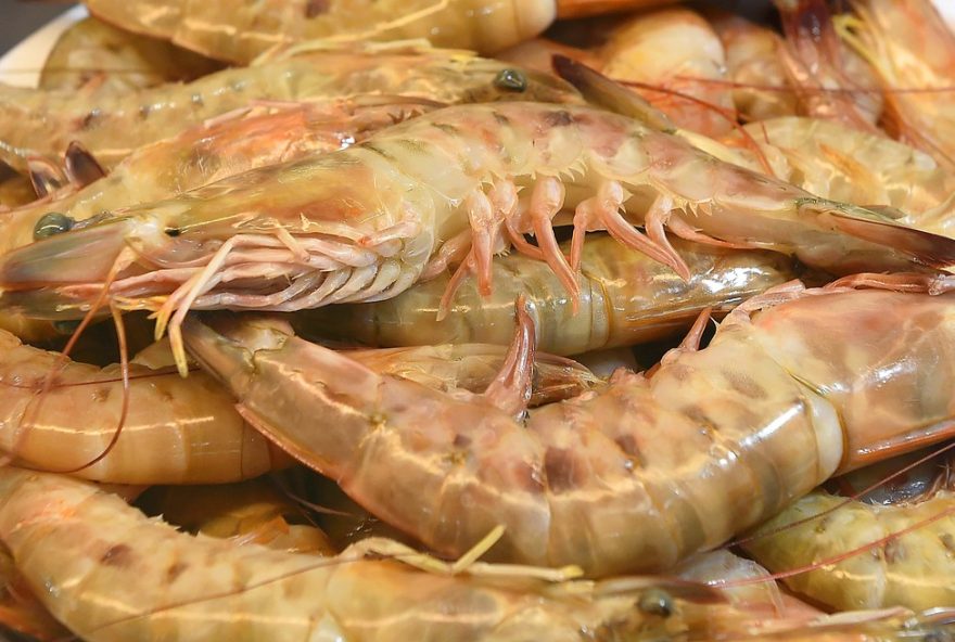 defeso-do-camarao-no-parana3A-comercio-e-pesca-proibidos-ate-abril3B-entenda-medidas-de-protecao-da-fauna-marinha defeso-do-camarao-no-parana3A-comercio-e-pesca-proibidos-ate-abril3B-entenda-medidas-de-protecao-da-fauna-marinha