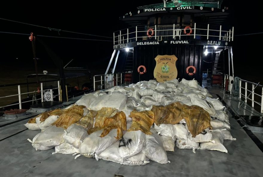 delegacia-fluvial-apreende-12-toneladas-de-pirarucu-seco-no-rio-amazonas3A-crime-ambiental-na-amazonia delegacia-fluvial-apreende-12-toneladas-de-pirarucu-seco-no-rio-amazonas3A-crime-ambiental-na-amazonia
