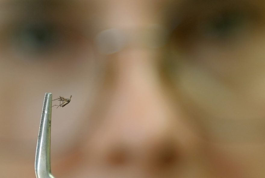 dengue-em-sao-jose-dos-campos3A-terceira-morte-confirmada-e-mais-de-4.500-casos-em-2025-saiba-como-se-prevenir