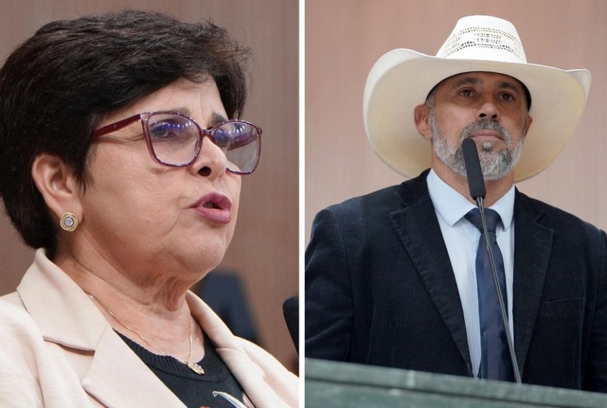 deputada-do-pt-denuncia-deputado-por-ofensa-machista-em-assembleia-de-goias