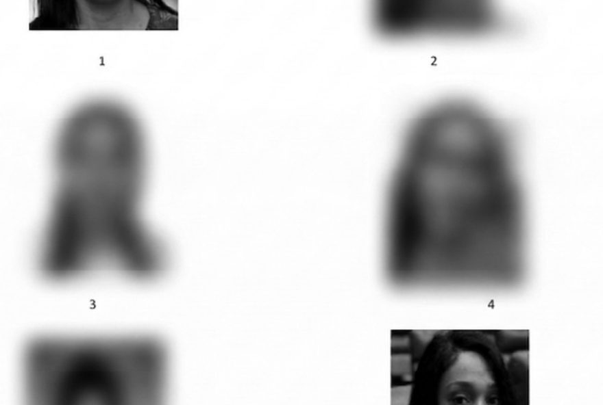 deputadas-duda-salabert-e-erika-hilton-em-album-de-suspeitos-por-roubo3A-transfobia-e-racismo-em-foco deputadas-duda-salabert-e-erika-hilton-em-album-de-suspeitos-por-roubo3A-transfobia-e-racismo-em-foco