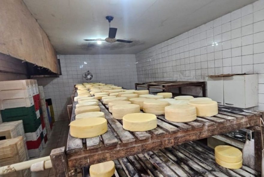 descarte-de-250-quilos-de-queijo-improprios-em-queijaria-clandestina-em-uberaba3A-fiscalizacao-do-procon-mg-e-ima.-medidas-adotadas-para-garantir-seguranca-alimentar-no-triangulo-mineiro
