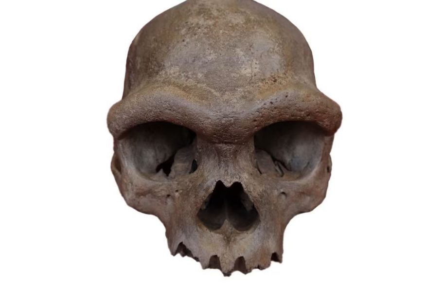 descoberta-do-dna-do-homem-dragao-revela-rosto-de-grupo-misterioso-de-humanos-antigos