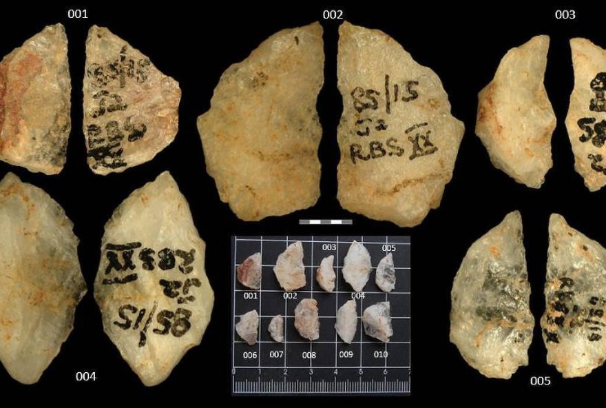 descobertas-revelam-antigas-praticas-de-envenenamento-de-flechas-na-africa