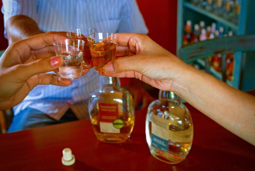 descubra-as-rotas-da-cachaca-em-sp3A-historia2C-premiacoes-e-turismo-rural descubra-as-rotas-da-cachaca-em-sp3A-historia2C-premiacoes-e-turismo-rural