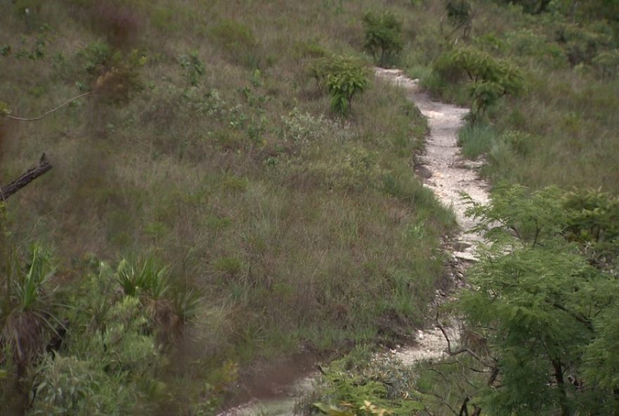 descubra-as-trilhas-para-cachoeiras-na-serra-da-canastra-dicas-e-cuidados-para-uma-aventura-segura-e-inesquecivel