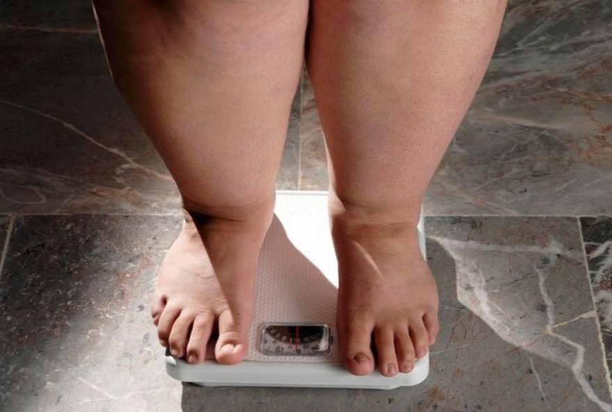 descubra-como-a-gordura-bege-auxilia-na-queima-de-calorias-e-no-controle-da-pressao-arterial descubra-como-a-gordura-bege-auxilia-na-queima-de-calorias-e-no-controle-da-pressao-arterial