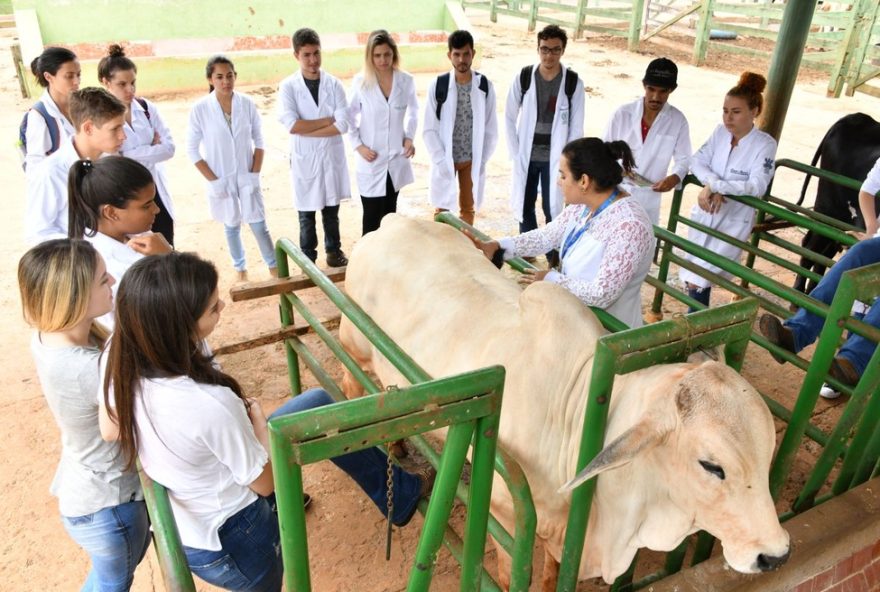 descubra-como-escolher-o-curso-certo-na-puc-goias-em-5-passos