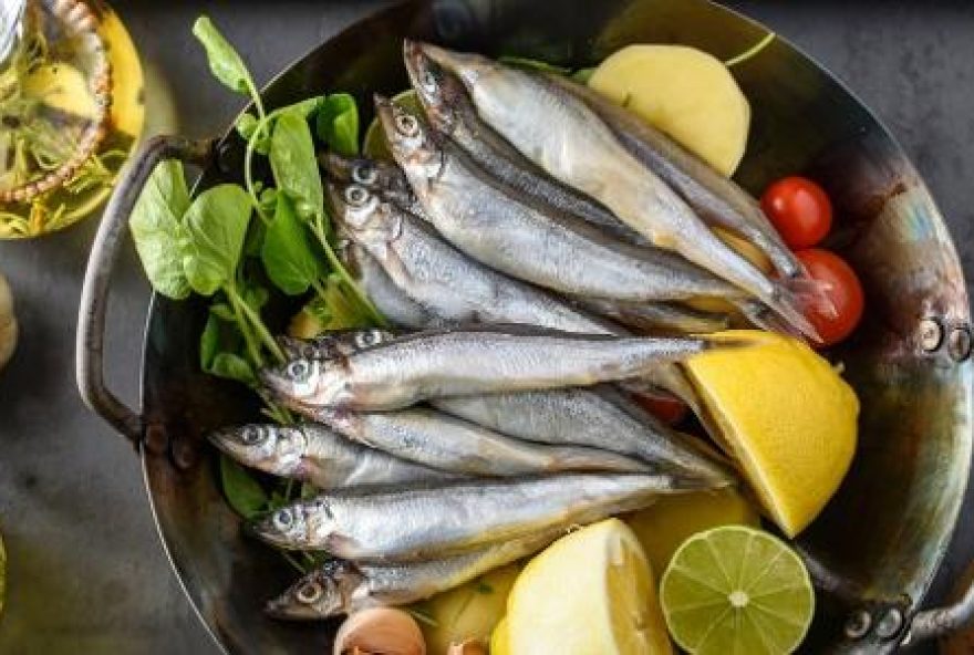 descubra-como-o-consumo-de-peixes-pode-ajudar-a-combater-a-gordura-no-figado descubra-como-o-consumo-de-peixes-pode-ajudar-a-combater-a-gordura-no-figado