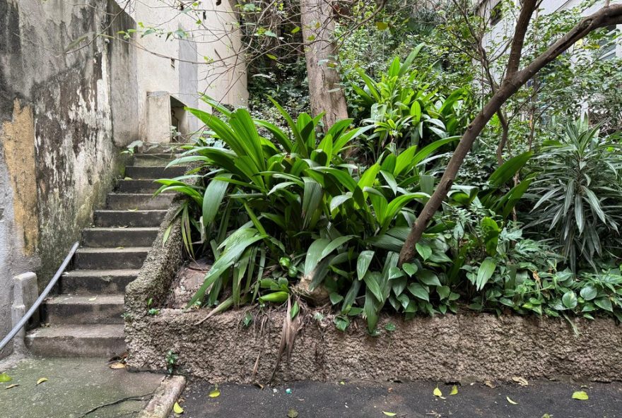 descubra-locais-inusitados-onde-os-rios-fluem-em-sao-paulo