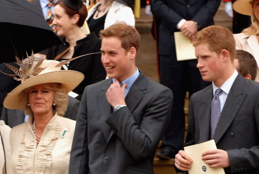 descubra-o-apelido-maldoso-de-william-e-harry-para-a-rainha-camilla