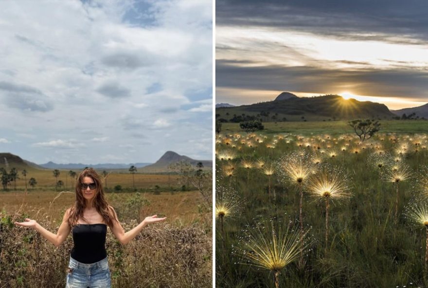 descubra-o-encanto-do-jardim-de-maytrea-e-cenarios-da-chapada-dos-veadeiros descubra-o-encanto-do-jardim-de-maytrea-e-cenarios-da-chapada-dos-veadeiros