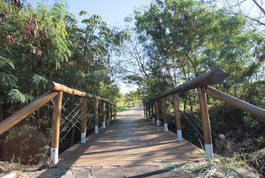 descubra-o-parque-gavea-em-uberlandia3A-lazer-e-diversao-pet-friendly