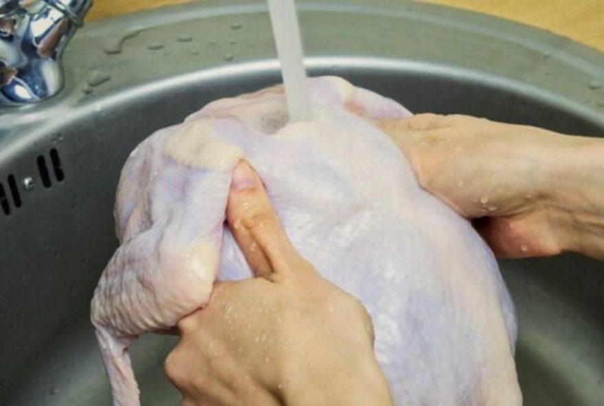 descubra-o-que-voce-nao-ve-ao-comer-fora3A-higiene-nas-cozinhas-e-boas-praticas-entrevista-com-especialista-em-seguranca-alimentar-julia-grosso descubra-o-que-voce-nao-ve-ao-comer-fora3A-higiene-nas-cozinhas-e-boas-praticas-entrevista-com-especialista-em-seguranca-alimentar-julia-grosso