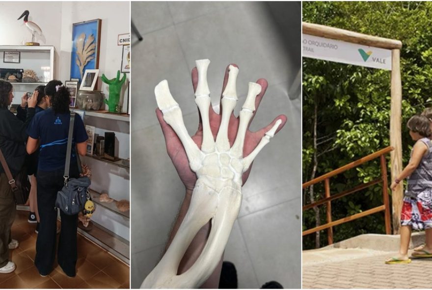 descubra-opcoes-de-lazer-educativo-na-grande-sao-luis-em-20263A-orla-viva2C-amares-e-parque-botanico-da-vale-para-aprendizado-sobre-a-natureza descubra-opcoes-de-lazer-educativo-na-grande-sao-luis-em-20263A-orla-viva2C-amares-e-parque-botanico-da-vale-para-aprendizado-sobre-a-natureza