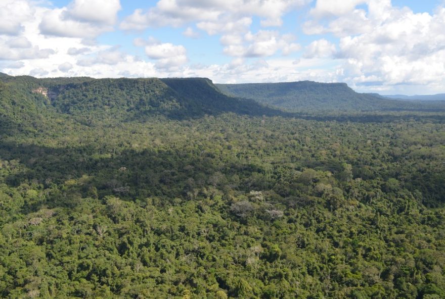 descubra-por-que-algumas-regioes-tem-mais-especies-a-influencia-do-clima-na-biodiversidade