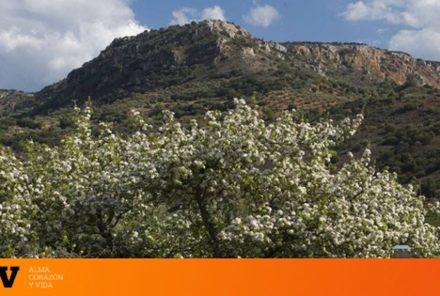 descubre-los-encantos-de-los-tres-pueblos-de-albacete-que-compiten-por-el-titulo-de-mas-bonito-de-castilla-la-mancha descubre-los-encantos-de-los-tres-pueblos-de-albacete-que-compiten-por-el-titulo-de-mas-bonito-de-castilla-la-mancha