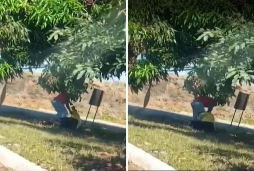 Agente de trânsito sendo agredido 
(Foto: Reprodução)