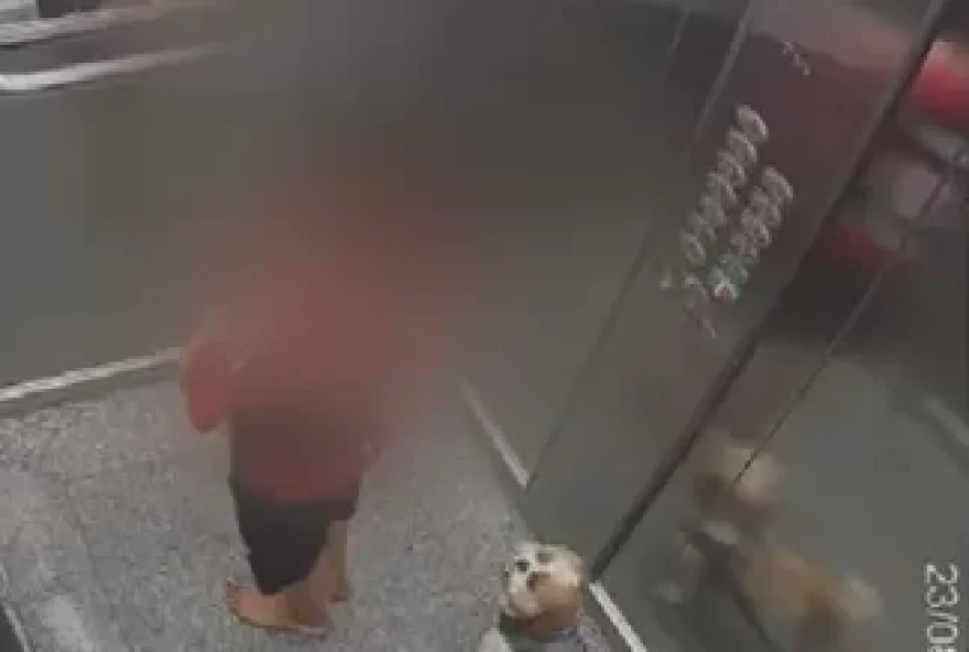 Criança pula no teto de elevador para salvar cachorra que ficou presa na porta