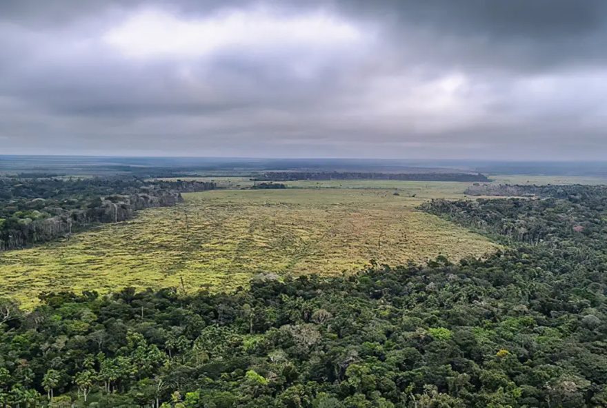 Desmatamento e incêndios contribuem para o aquecimento global