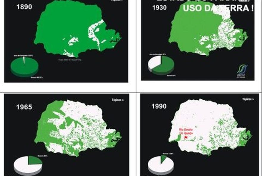 desmatamento-intensifica-tornado-no-parana2C-diz-climatologista3A-a-importancia-das-florestas-para-a-seguranca-das-cidades