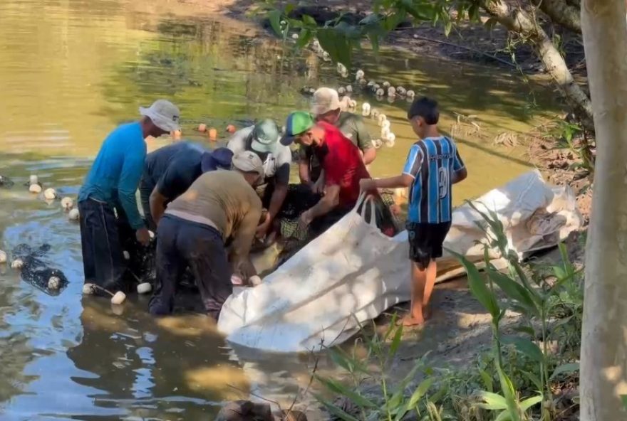 despesca-de-peixes-no-rs-para-semana-santa3A-produtores-preparam-abastecimento despesca-de-peixes-no-rs-para-semana-santa3A-produtores-preparam-abastecimento