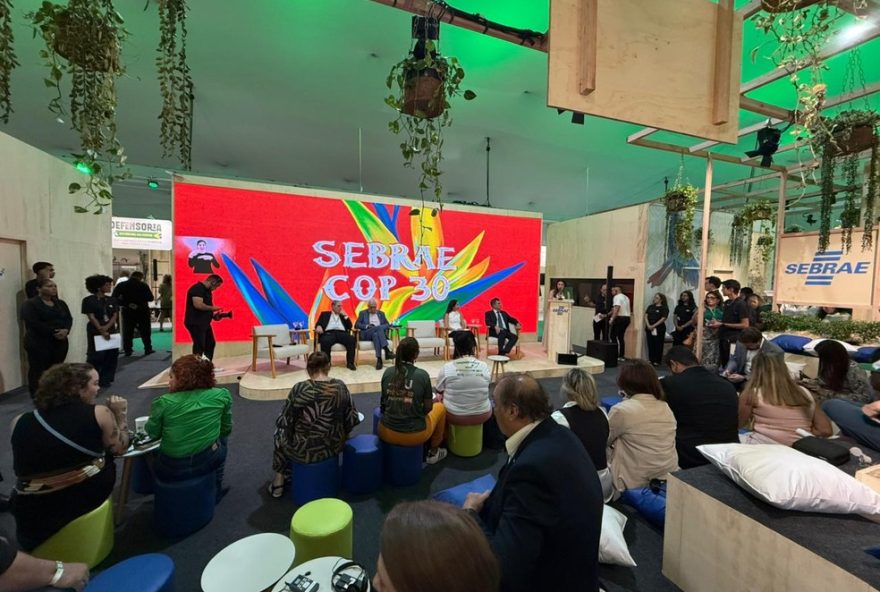 destaque-da-economia-verde3A-empreendimentos-sustentaveis-do-maranhao-na-cop30 destaque-da-economia-verde3A-empreendimentos-sustentaveis-do-maranhao-na-cop30