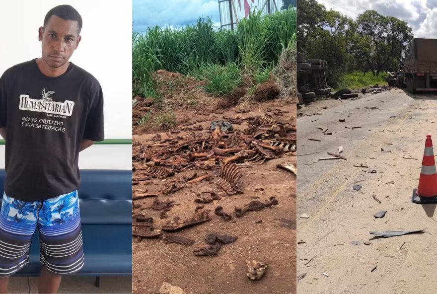 destaques-da-semana-na-regiao-centro-oeste-de-minas3A-prisao-de-suspeito2C-ossos-descartados-e-acidente-na-br-262 destaques-da-semana-na-regiao-centro-oeste-de-minas3A-prisao-de-suspeito2C-ossos-descartados-e-acidente-na-br-262