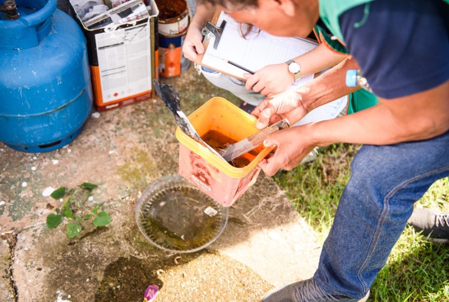 dia-d-contra-a-dengue3A-acoes-em-33-municipios-de-campinas-e-regiao dia-d-contra-a-dengue3A-acoes-em-33-municipios-de-campinas-e-regiao