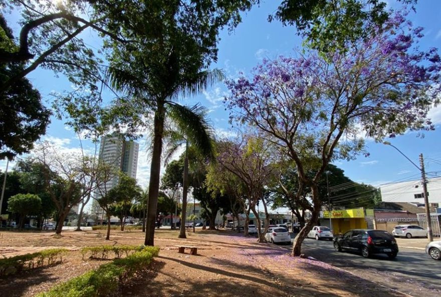 dia-da-consciencia-negra3A-veja-o-que-abre-e-o-que-fecha-no-feriado-em-goiania