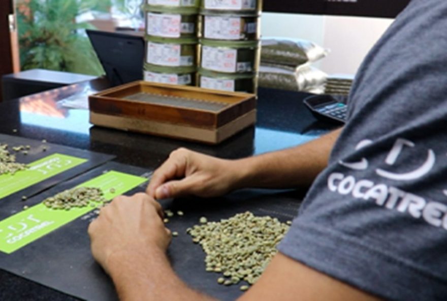 diario-do-estado3A-2a-maior-cooperativa-de-cafe-no-brasil-e-crescendo-valor-economico