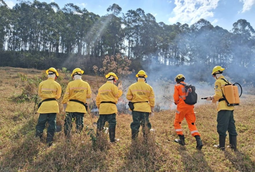 diario-do-estado3A-corpo-de-bombeiros-abre-147-vagas-para-brigadistas-na-regiao-inscricoes-abertas