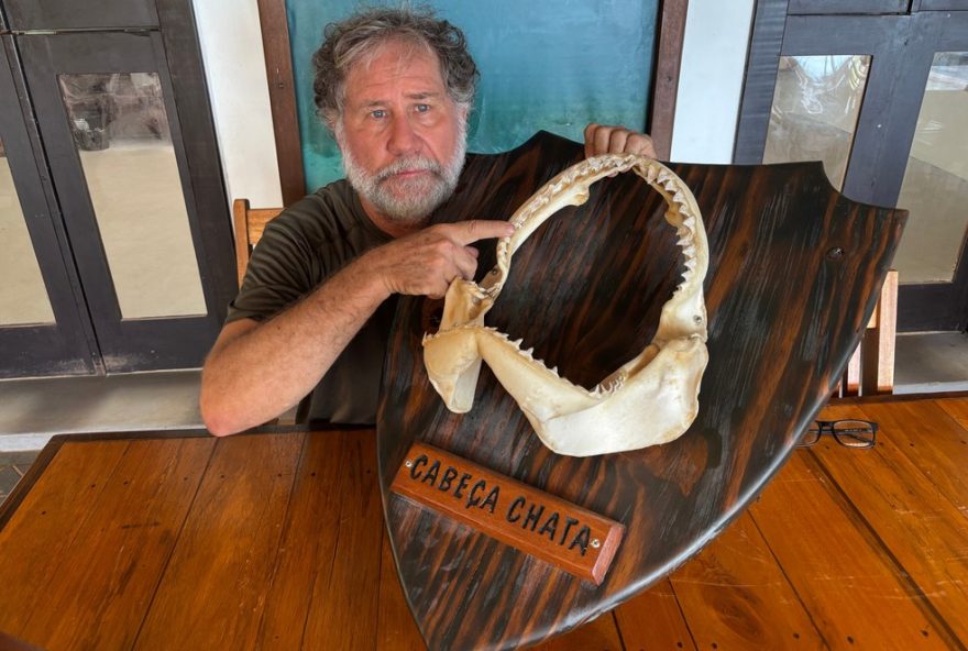 diferencas-em-incidentes-com-tubaroes-em-noronha-e-olinda3A-analise-de-especialista-em-destaque diferencas-em-incidentes-com-tubaroes-em-noronha-e-olinda3A-analise-de-especialista-em-destaque