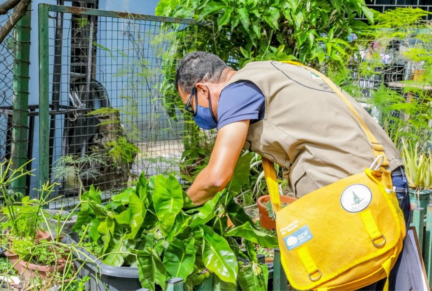 distrito-federal-intensifica-acoes-de-combate-a-dengue-em-20253A-efetivo-ampliado2C-tecnologia-e-fiscalizacao-reforcadas