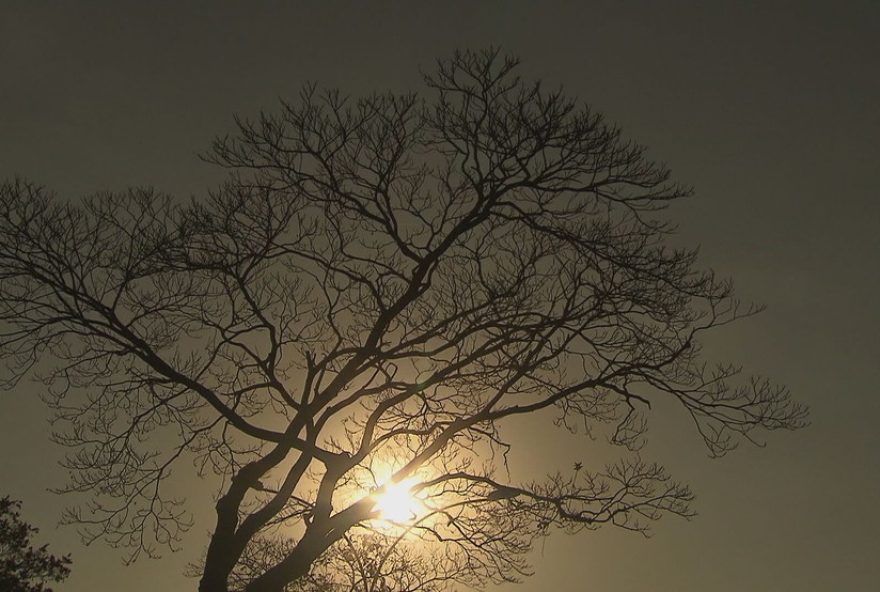 distrito-federal-vive-dia-mais-quente-do-ano-com-temperatura-de-342C7-degc3A-dicas-de-saude-e-seguranca-em-meio-a-seca