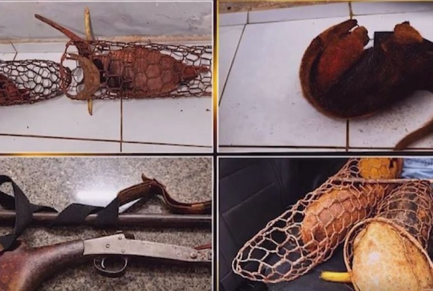 dois-homens-presos-por-caca-ilegal-em-pastos-bons dois-homens-presos-por-caca-ilegal-em-pastos-bons