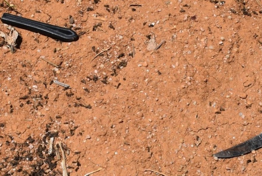 dois-homens-sao-presos-suspeitos-de-matar-mulher-em-rodovia-do-interior-de-sp dois-homens-sao-presos-suspeitos-de-matar-mulher-em-rodovia-do-interior-de-sp