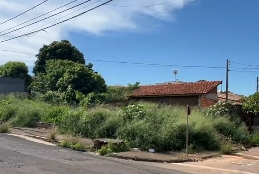 donos-de-terrenos-sujos-tem-prazo-ate-312F01-para-limpeza-em-aracatuba3A-multa-de-ate-1025-do-valor-venal-do-imovel donos-de-terrenos-sujos-tem-prazo-ate-312F01-para-limpeza-em-aracatuba3A-multa-de-ate-1025-do-valor-venal-do-imovel