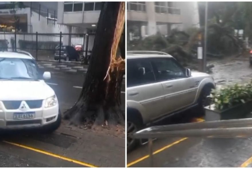 duas-arvores-cairam-e-bloquearam-trecho-da-alameda-santos-em-sp3A-ventania-causa-transtornos-nos-arredores-do-masp